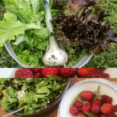 Σπίτι διακοπών Le Clos Baroussais