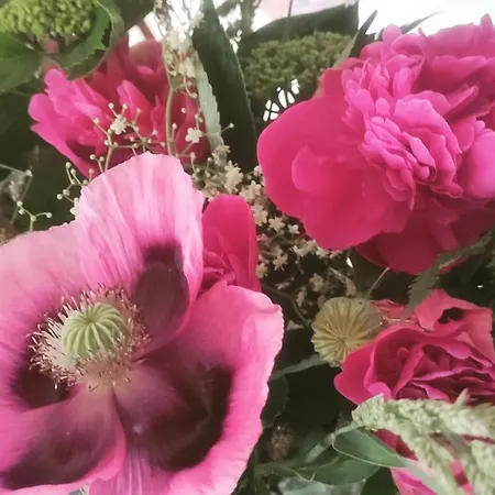 Σπίτι διακοπών Le Clos Baroussais Thebe