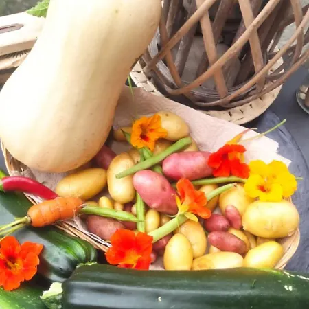 Σπίτι διακοπών Le Clos Baroussais Thebe