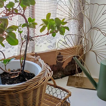 Le Clos Baroussais Thebe