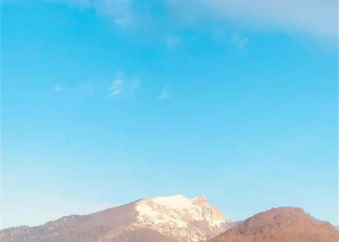 Le Clos Baroussais Thebe