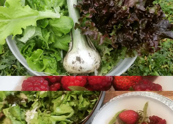 בית נופש Le Clos Baroussais