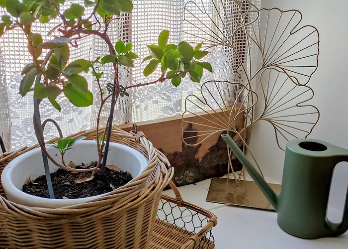 Le Clos Baroussais Thebe