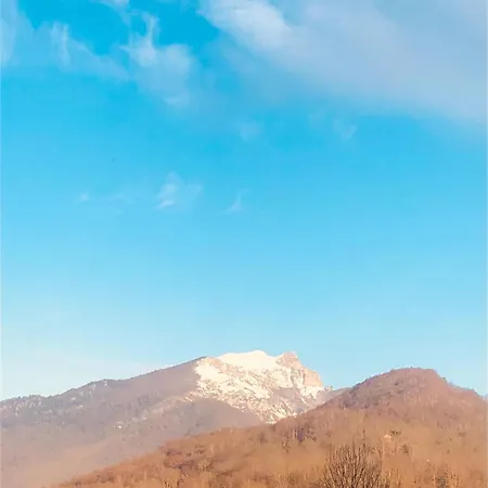 Le Clos Baroussais Thebe