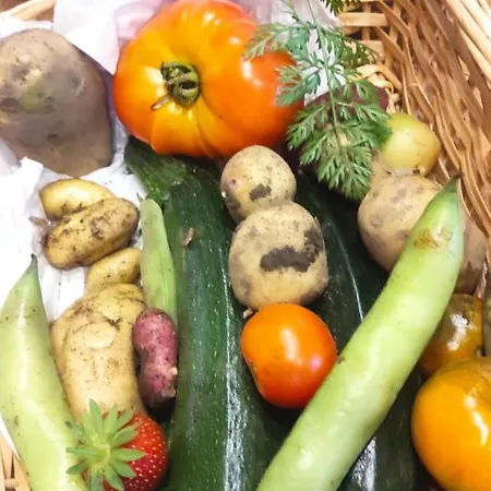 Le Clos Baroussais * Thebe