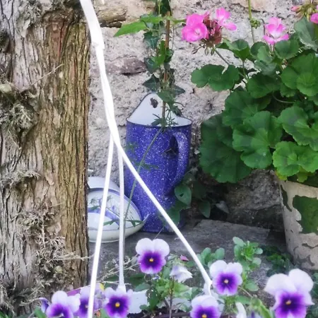 Tatil Evi Le Clos Baroussais