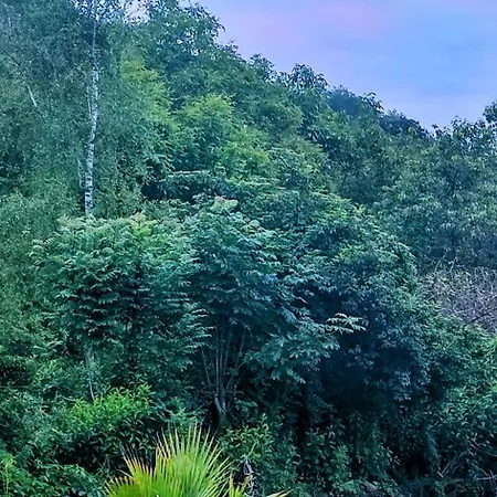 בית נופש Le Clos Baroussais