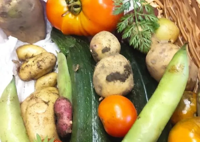 Le Clos Baroussais * Thebe