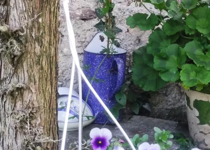 Сasa de vacaciones Le Clos Baroussais