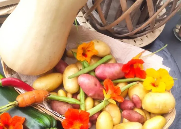 Сasa de vacaciones Le Clos Baroussais Thebe