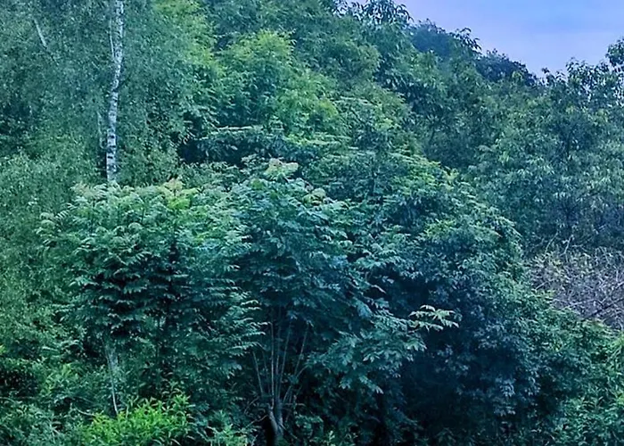 Сasa de vacaciones Le Clos Baroussais